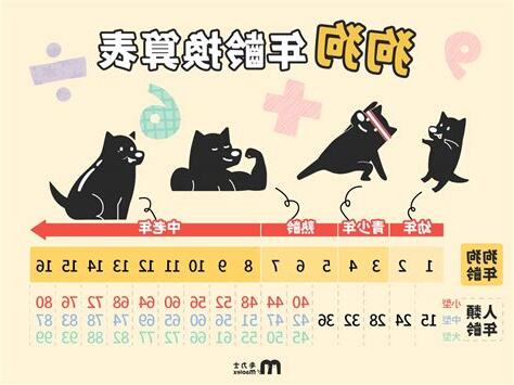 小一 幾歲